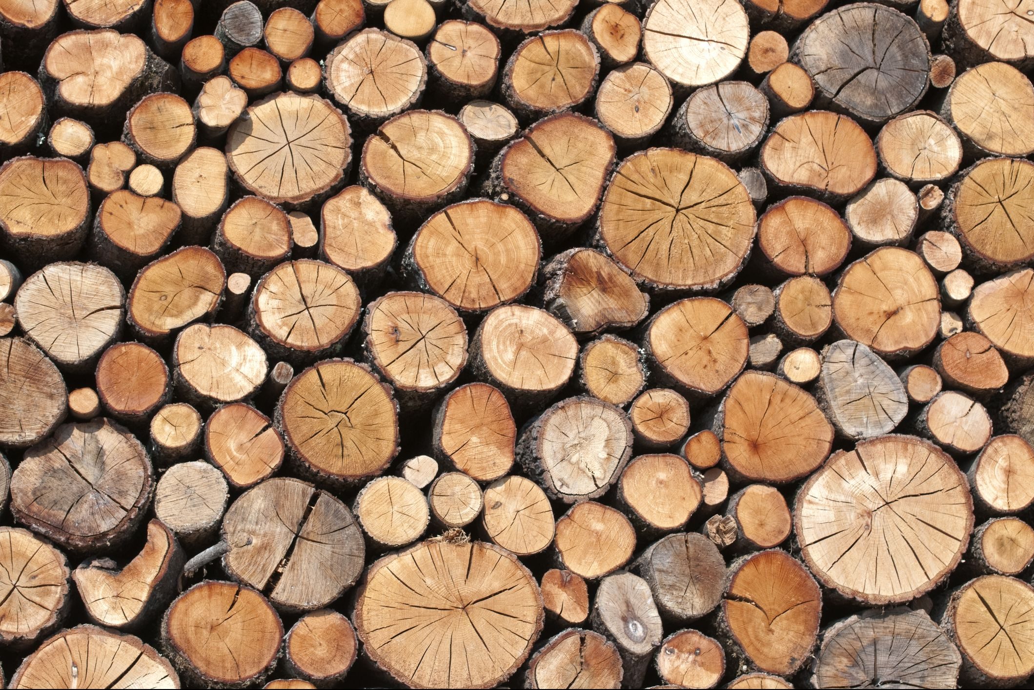 piles-of-wood-royalty-free-image-106548715-1531507536
