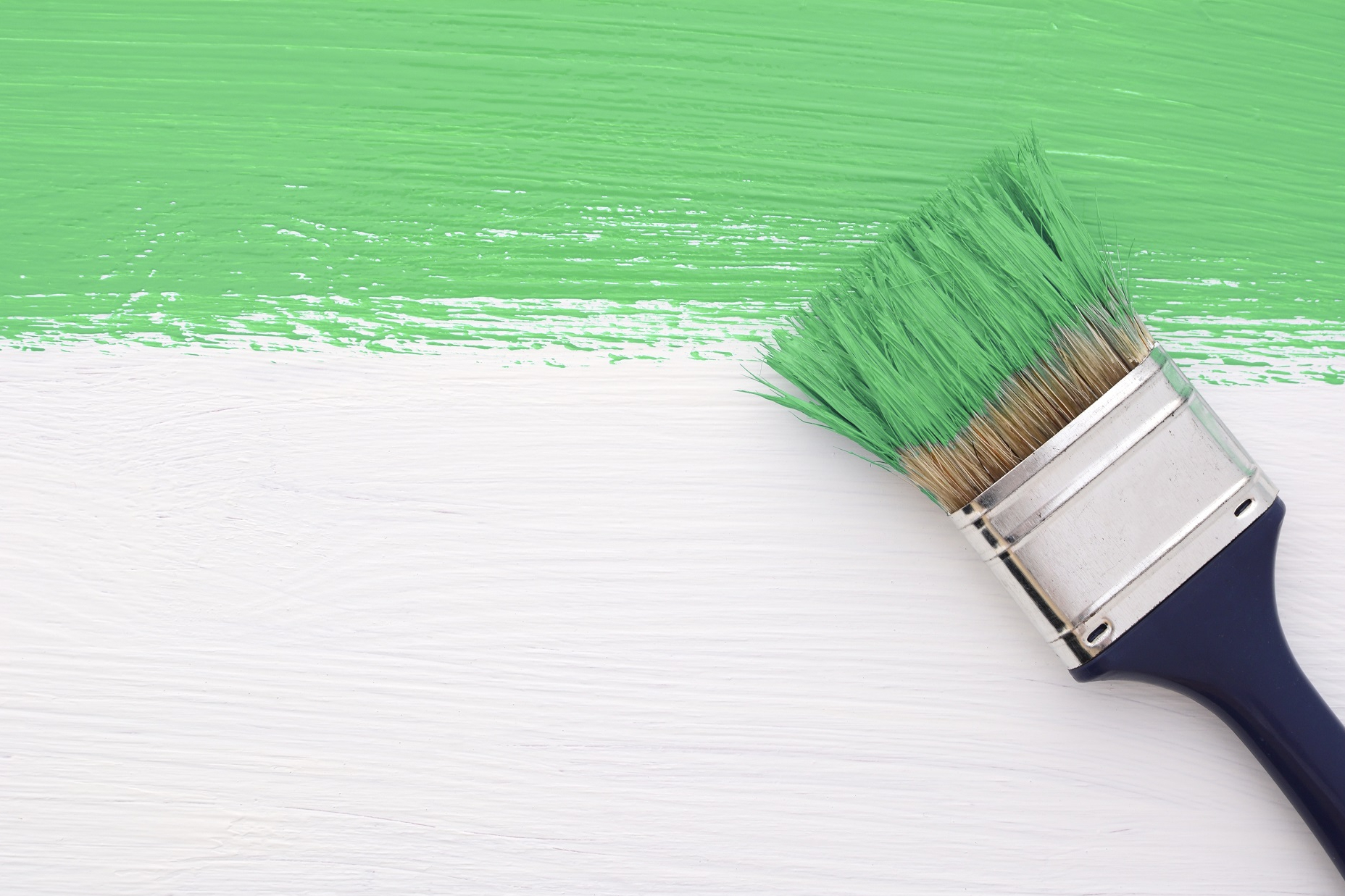 Stripe of green paint with a paintbrush on white