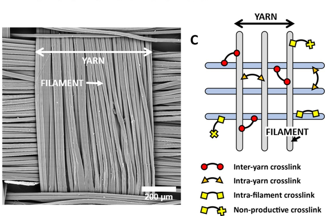 Microsoft Word - ap1c01301
